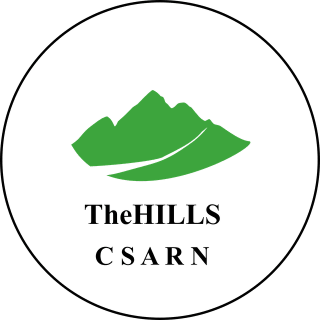 Logo 17